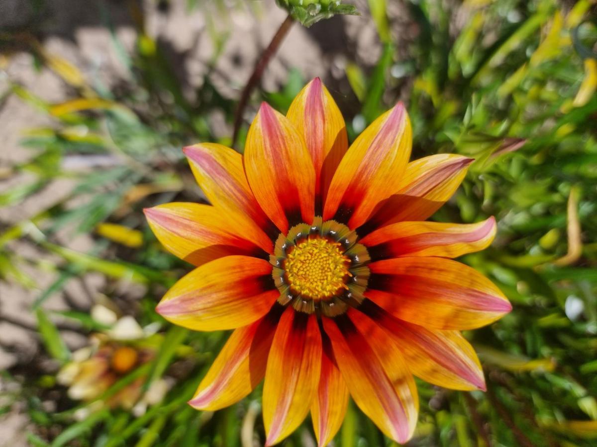 سيسيمبرا Vila De Sol المظهر الخارجي الصورة