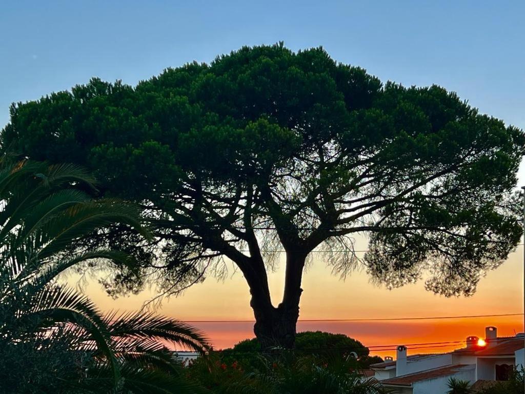 سيسيمبرا Vila De Sol المظهر الخارجي الصورة